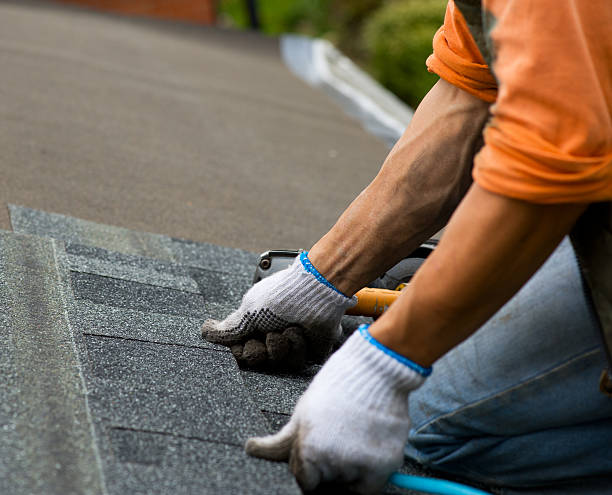 Best Local Roofing Companies  in Harbison Nyon, CA