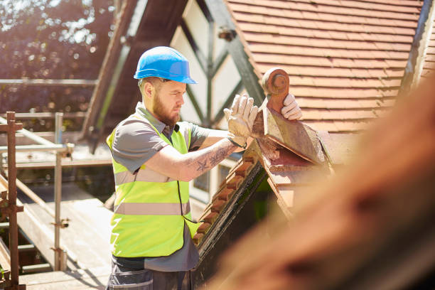 Best Roof Gutter Cleaning  in Harbison Nyon, CA